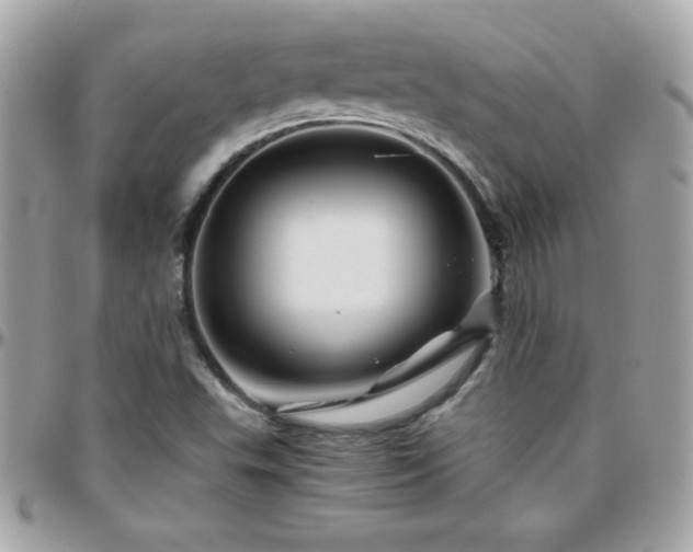 X0000096421503200801241306