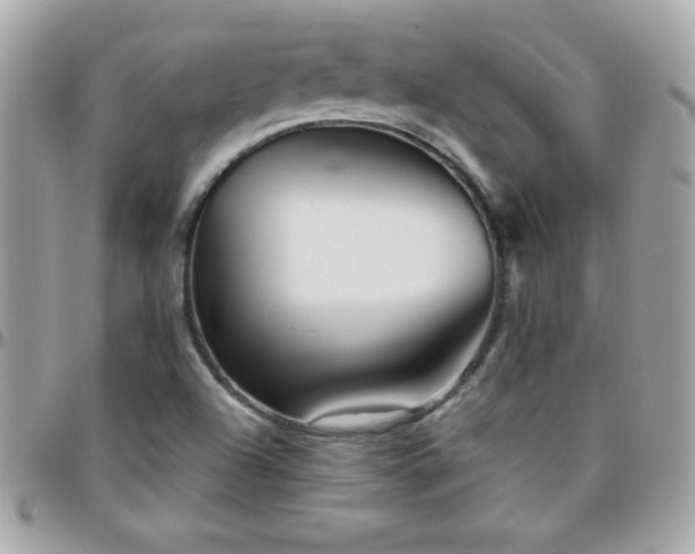 X0000096421504200801241306