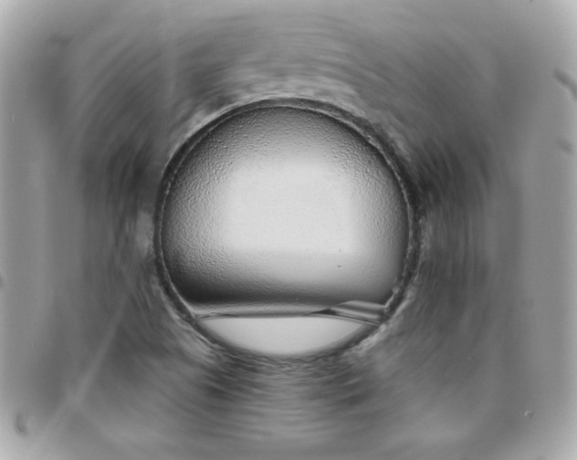 X0000096421505200801241306