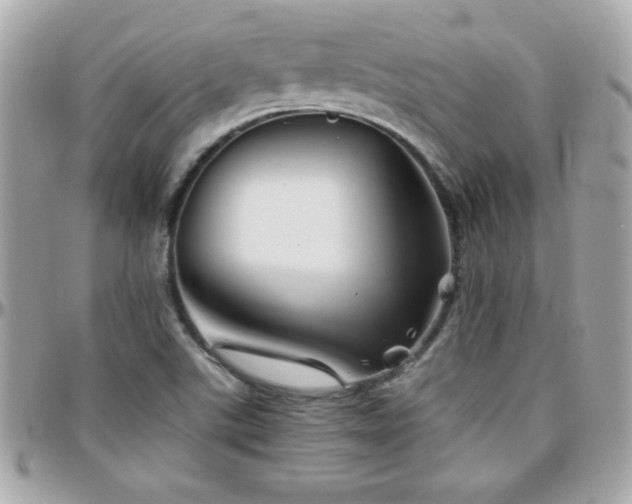 X0000096421507200801241306