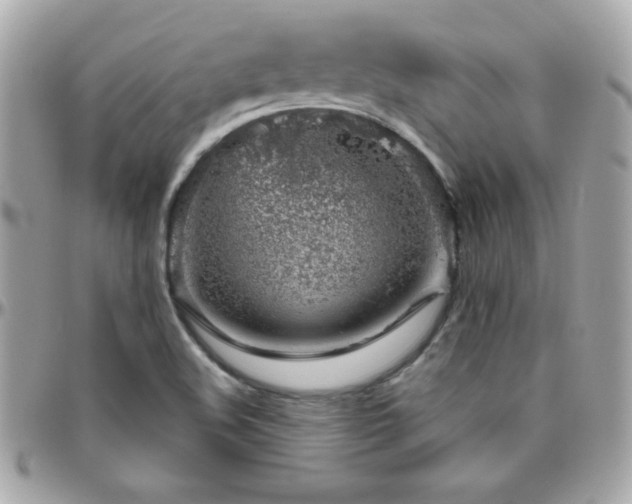 X0000096421508200801241306