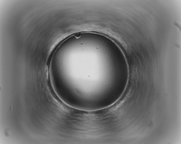 X0000096421509200801241306