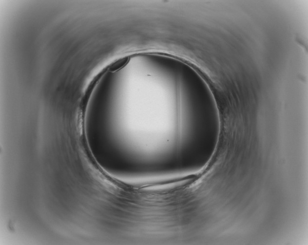 X0000096421510200801241306