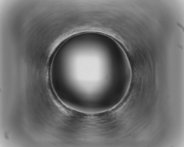 X0000096421511200801241306