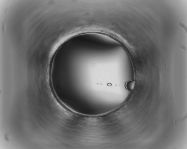 X0000096421512200801241306