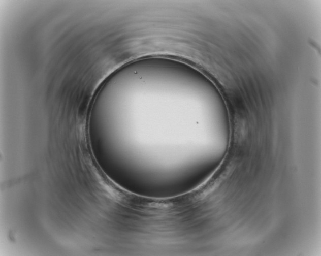 X0000096421513200801241306