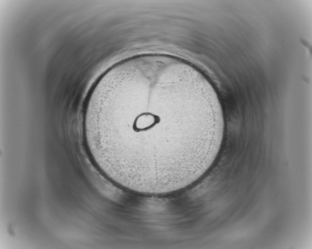 X0000096421514200801241306
