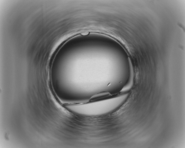 X0000096421515200801241306