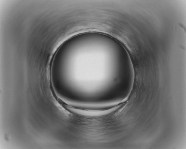 X0000096421516200801241306