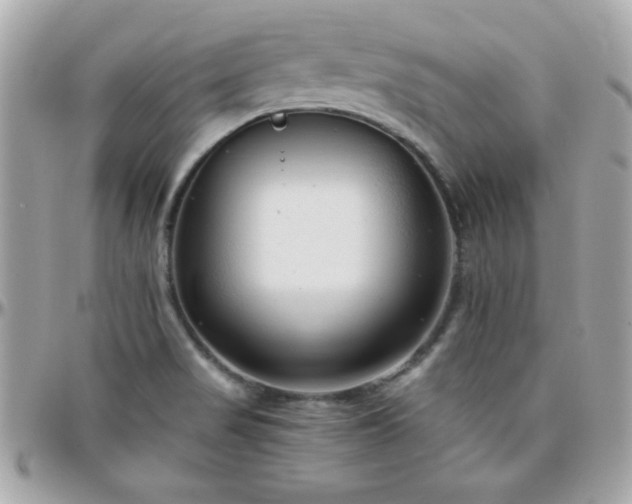 X0000096421517200801241306