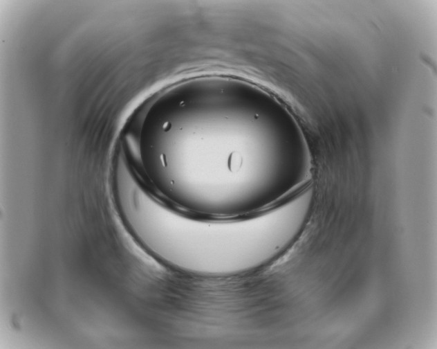 X0000096421518200801241306