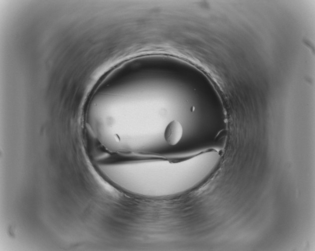 X0000096421519200801241306