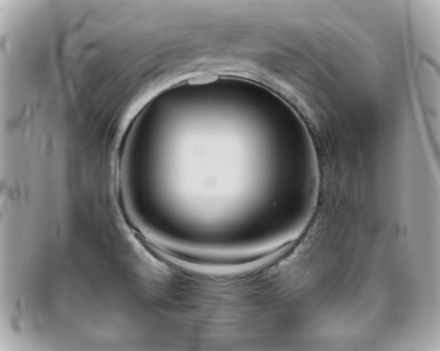 X0000096421520200801241306