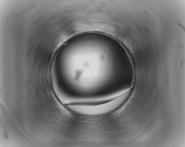 X0000096421521200801241306