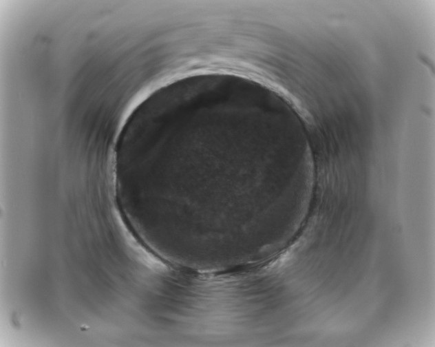 X0000096421522200801241306