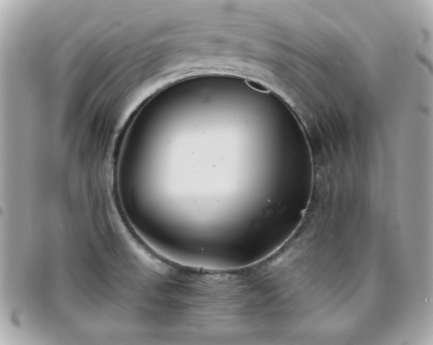 X0000096421523200801241306