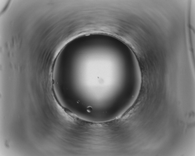 X0000096421524200801241306