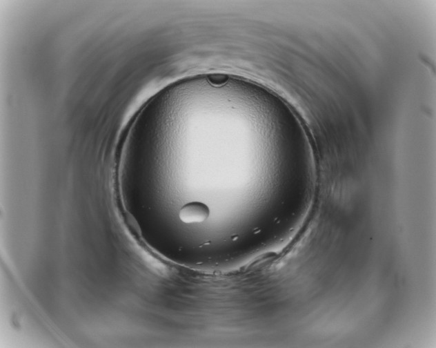 X0000096421525200801241306
