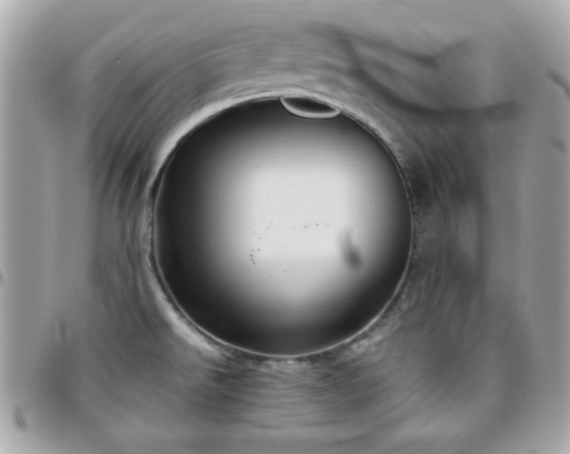 X0000096421526200801241306