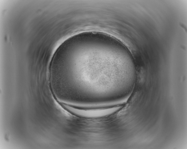 X0000096421527200801241306
