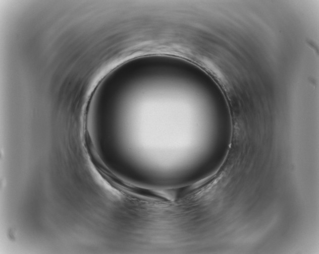 X0000096421528200801241306