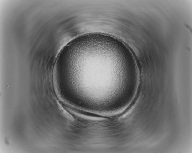 X0000096421529200801241306