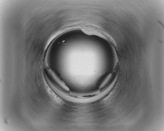 X0000096421530200801241306