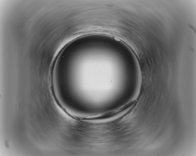 X0000096421531200801241306