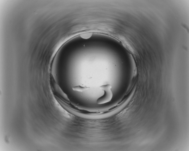 X0000096421532200801241306