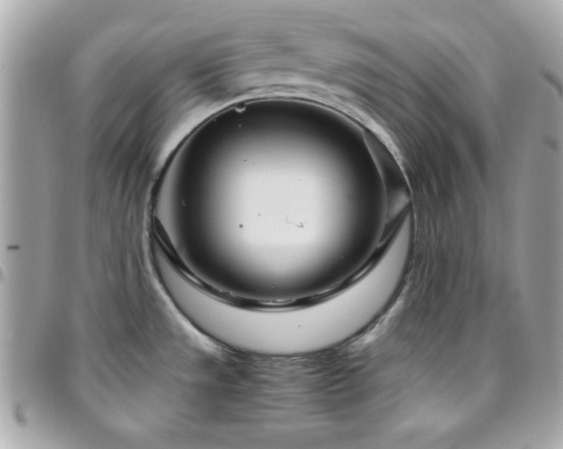 X0000096421533200801241306