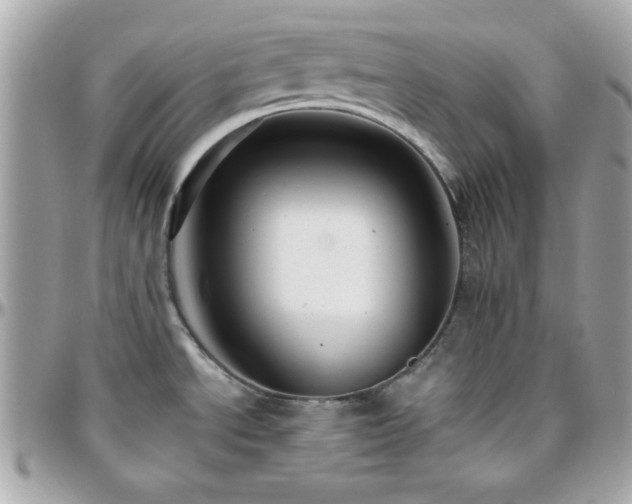 X0000096421534200801241306