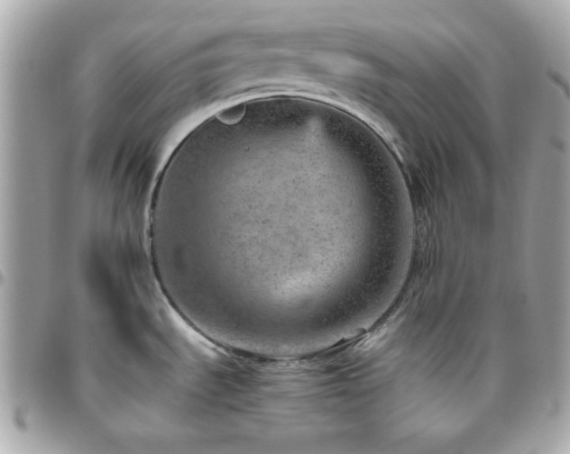 X0000096421535200801241306