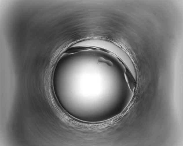 X0000096420001200801311422