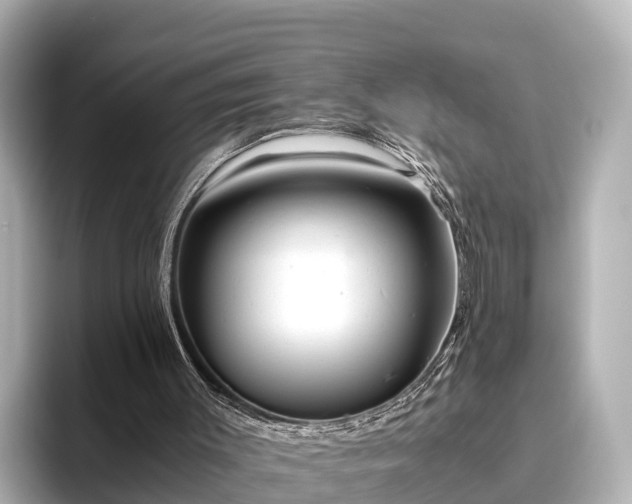 X0000096420003200801311421