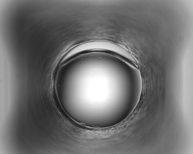 X0000096420005200801311421