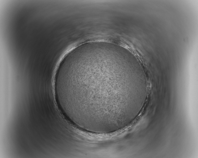 X0000096420006200801311421