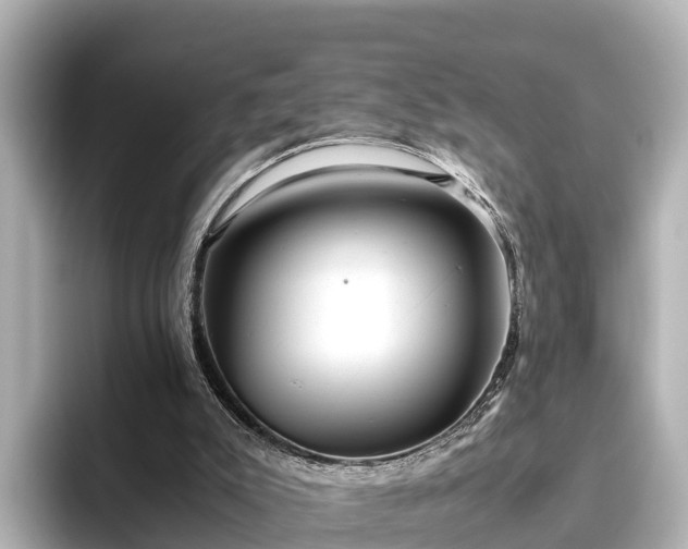 X0000096420007200801311421