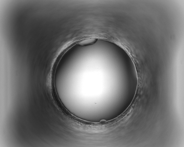 X0000096420008200801311421