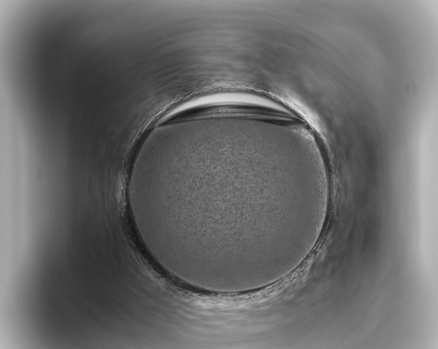 X0000096420009200801311421