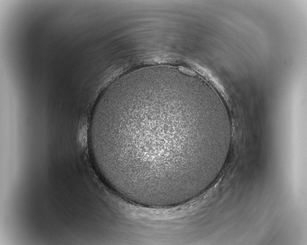 X0000096420010200801311421