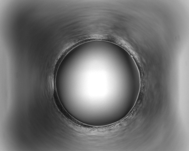 X0000096420011200801311421