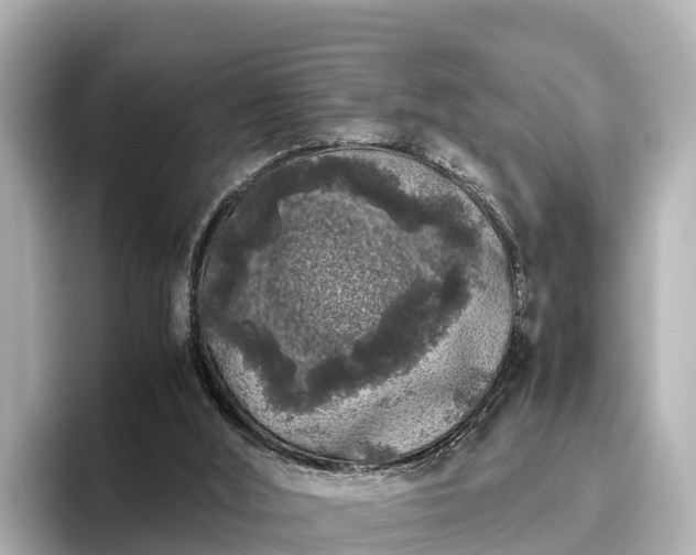 X0000096420012200801311421