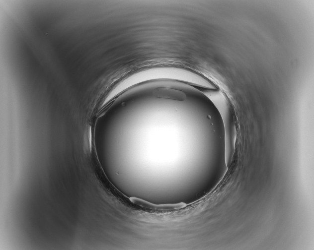 X0000096420013200801311421