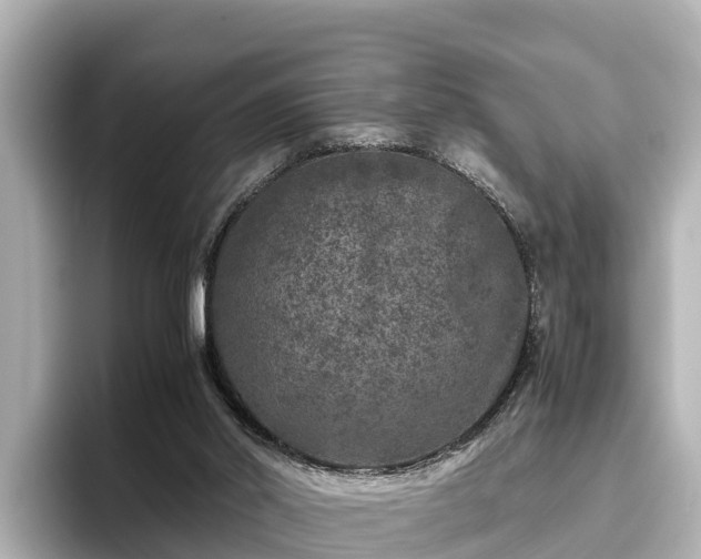 X0000096420014200801311421