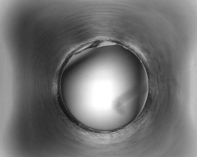 X0000096420015200801311421