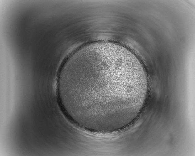 X0000096420016200801311421