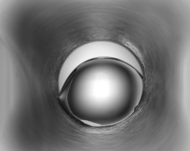 X0000096420017200801311421