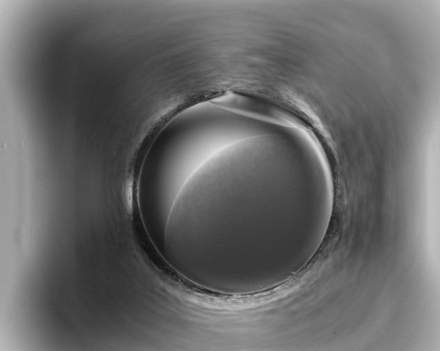 X0000096420019200801311421