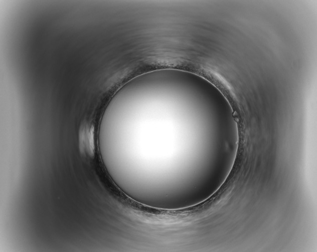 X0000096420020200801311421