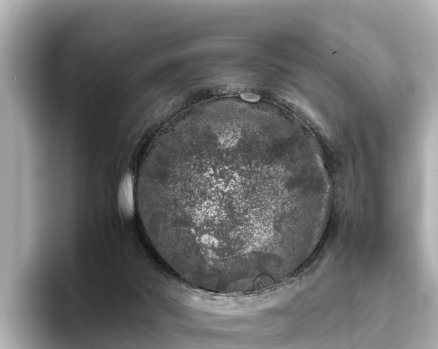 X0000096420022200801311421